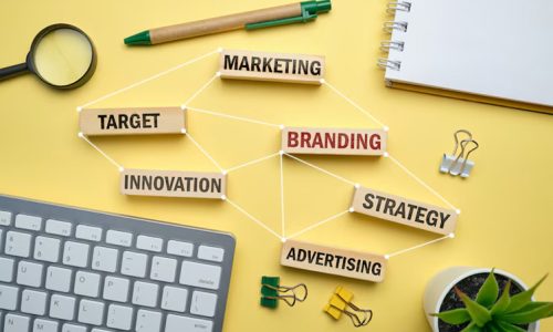 brandawarnes brandawarnes